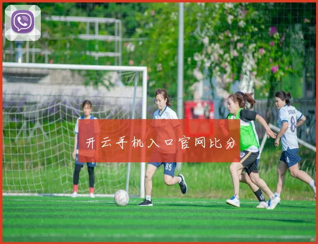 开云手机入口官网比分