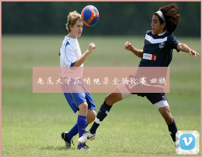 老虎大学压哨绝杀全场比赛回顾