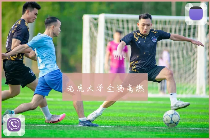 老虎大学全场高燃
