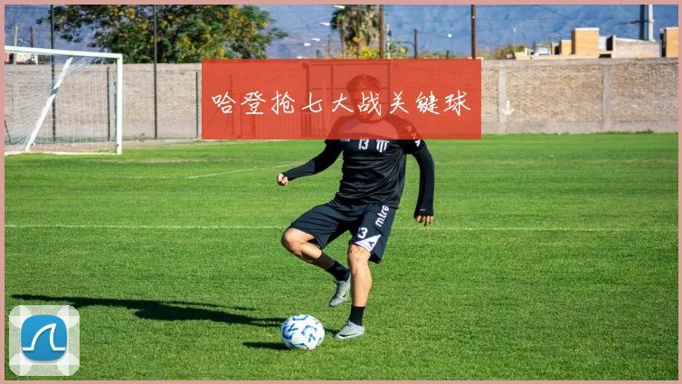 哈登抢七大战关键球