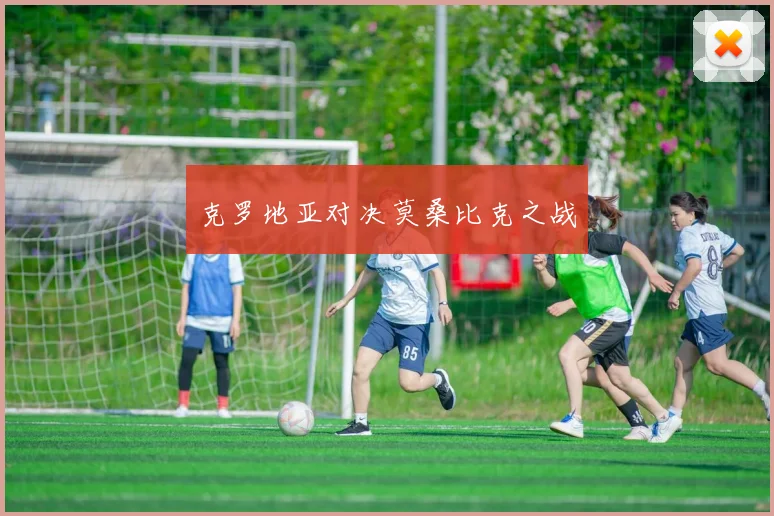 克罗地亚对决莫桑比克之战