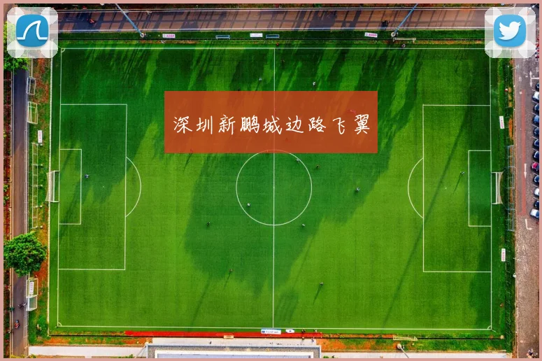 深圳新鹏城边路飞翼