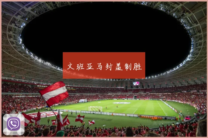 文班亚马封盖制胜