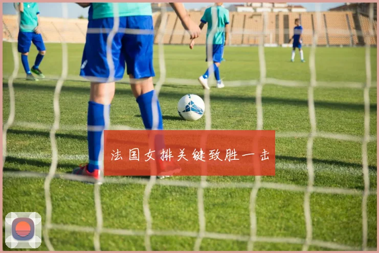 法国女排关键致胜一击