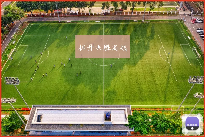 林丹决胜局战