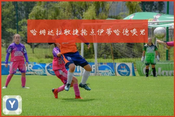 哈姆达拉敏捷抢点伊蒂哈德嗅觉