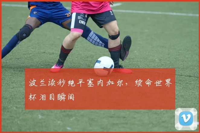 波兰读秒绝平塞内加尔，续命世界杯泪目瞬间