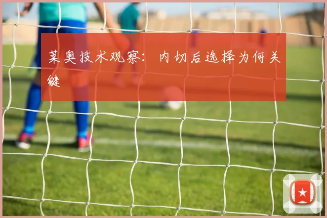 莱奥技术观察：内切后选择为何关键