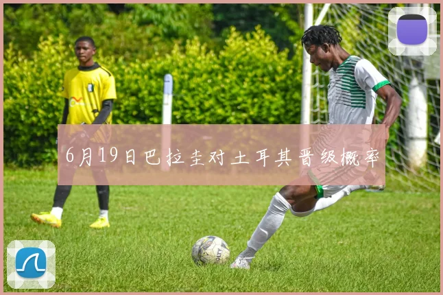 6月19日巴拉圭对土耳其晋级概率